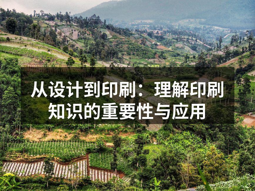 印刷流程示意图